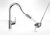 Hansgrohe Focus Rustfrit st�l #4