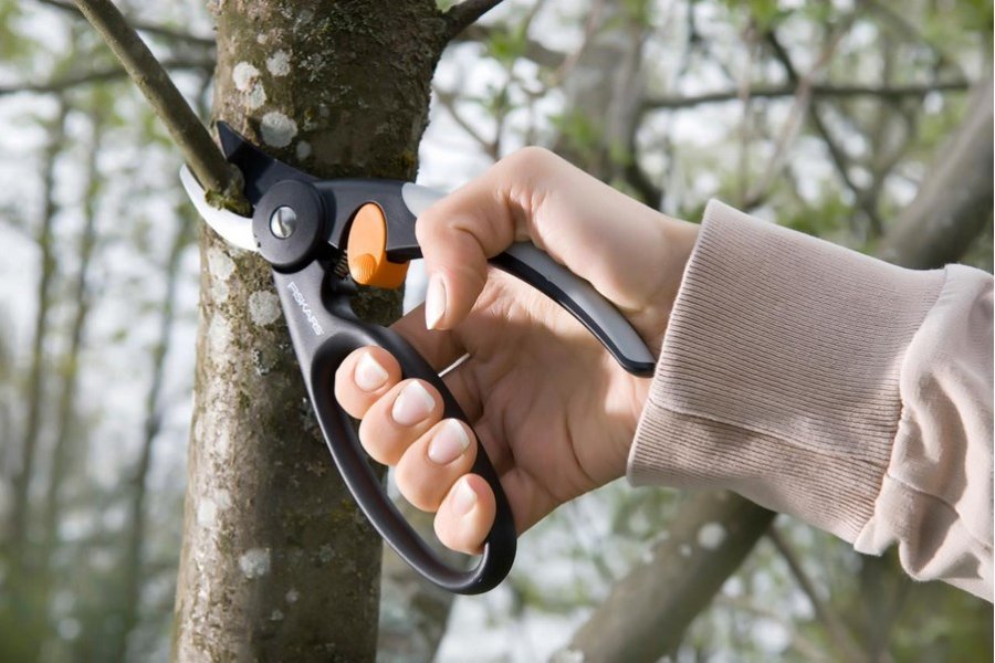 Fiskars 111440 beskringssaks Aflede Sort #4
