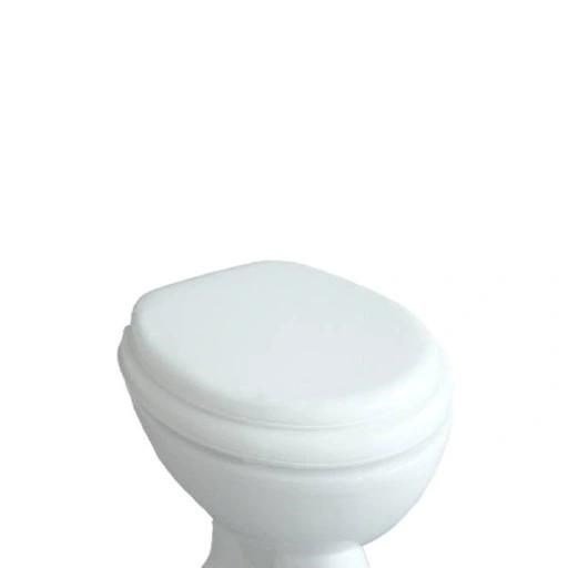 Bldt forhjelse af toiletenhed med en flap #2