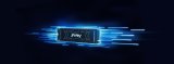 Kingston Technology 2000G FURY RENEGADE M.2 2280 NVMe SSD #7