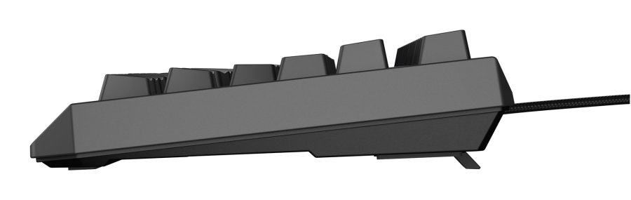 GENESIS Thor 230 TKL tastatur Spil USB QWERTY US engelsk Sort #12