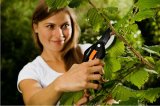 Fiskars 111260 beskringssaks Aflede Sort #4