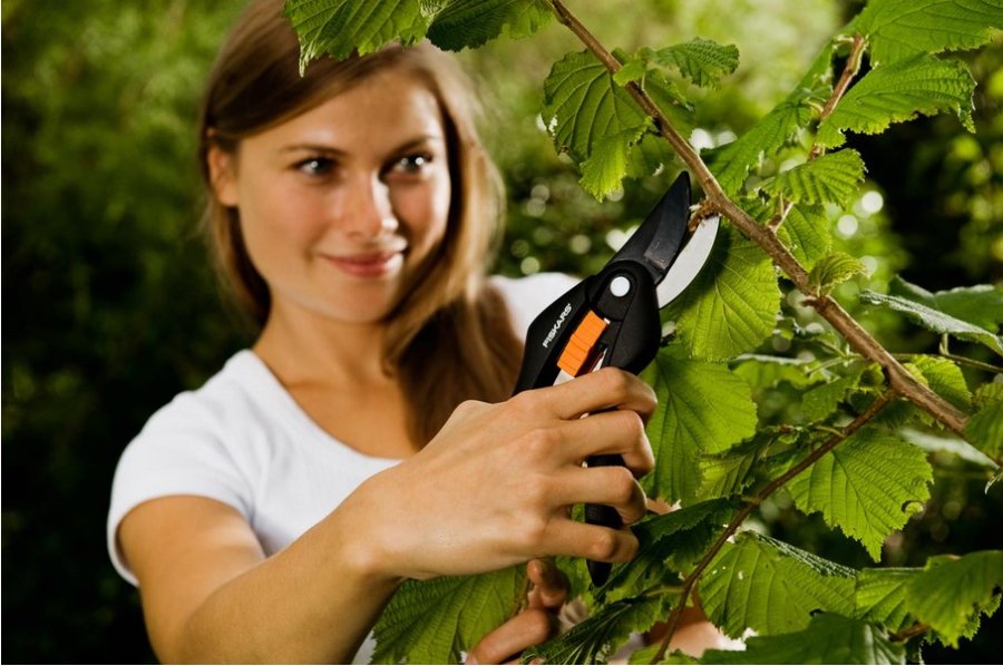 Fiskars 111260 beskringssaks Aflede Sort #4