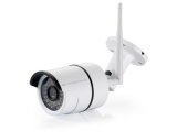 Conceptronic Jareth Kugle (form) IP-sikkerhedskamera Indend�rs 1920 x 1080 pixel Loft/v�g #1