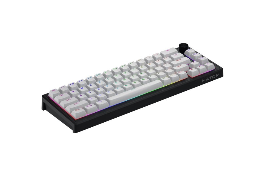 HATOR Skyfall 65 MAG ULTRA 8K tastatur Spil USB QWERTY US engelsk Sort, Hvid #22