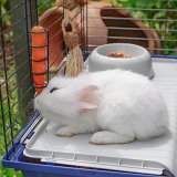 FERPLAST Rabbit 120 - Bur #7