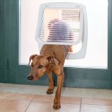 FERPLAST Swing 11 - Dr til mellemstore hunde og store katte, hvid #3