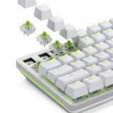 Glorious Gaming GLO-KB-ACC-SWT-RAPTOR-LUBED-36 tilbehr til tastatur Tastaturafbrydere #6