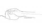 BakkerElkhuizen Evoluent4 mus Kontor H�jre h�nd USB Type-A Laser 2600 dpi #7