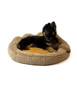 GO GIFT Hunde- og katteseng L - camel - 55x55 cm #2