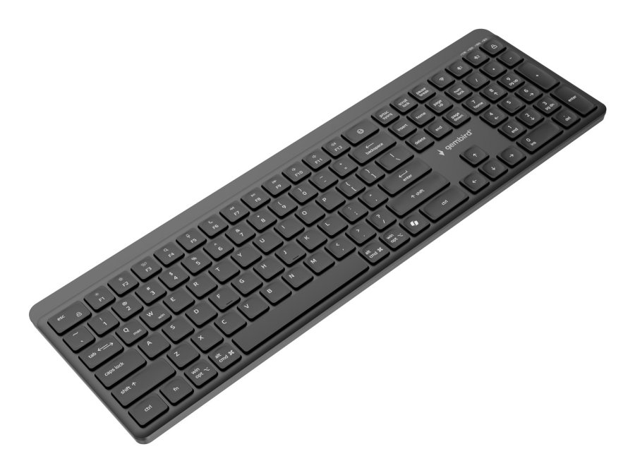 Gembird KB-WPS-03 tastatur Kontor RF tr�dl�s + Bluetooth QWERTY US International Sort #5
