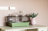 INTER-ZOO Maze Japandi - bur til gnavere - 50 x 27 x 33cm #2