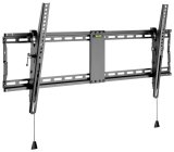 Wentronic Pro TILT (XL) 2,54 m (100