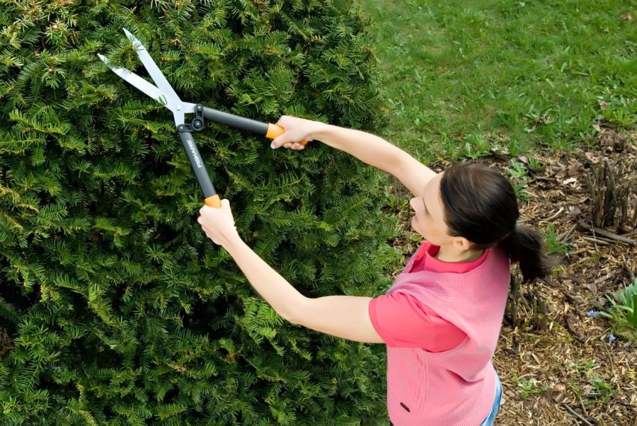 Fiskars 114750 hkkeklipper & -saks Sort, Orange #3