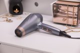 Remington AC8820 Slv 2200 W #3