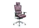 Ergonomisk kontorstol ERGO 800 plum #1