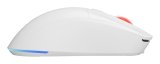 GENESIS Zircon XIII mus Spil Ambidextrous RF Wireless + USB Type-C Optisk 26000 dpi #9