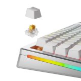 Glorious Gaming GLO-KB-ACC-SWT-PANDA-HE-36 tilbehr til tastatur Tastaturafbrydere #3