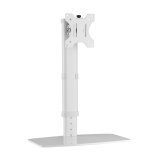 Techly ICA-LCD 260 skrmbeslag og -stativer 68,6 cm (27