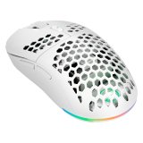 Gaming Mouse GAMIAC PX71 - White #1