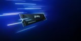 Kingston Technology 1T FURY RENEGADE G5 M.2 2280 NVMe SSD #12