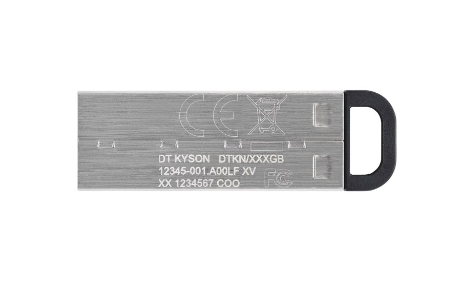 Kingston Technology DataTraveler 256 GB Kyson USB Flash-drev #2