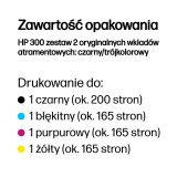 HP Originale 300-bl�kpatroner, sort/trefarvet, 2-pak #4