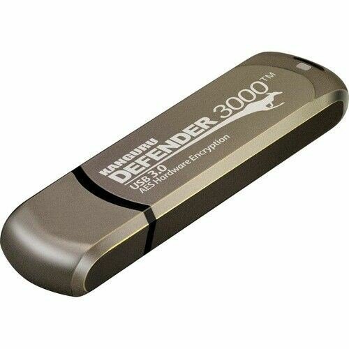 iStorage Kanguru Defender 3000 USB-ngle 256 GB USB Type-C 3.2 Gen 1 (3.1 Gen 1) Gr #1