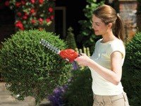Black & Decker GSL300 elektrisk hkkeklipper Dobbeltklinge 600 g #7