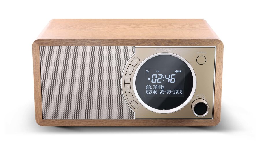 Sharp DR-450 Personligt Digital Brun, Rustfrit stl #3