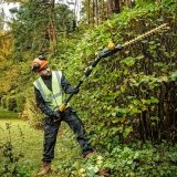 18V XR Pole Shears 55, Boom up to 3.35m, Cardboard #6