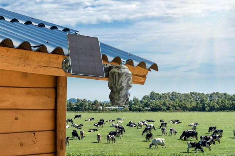 Technaxx 5156 overvgningskamera Kuppel IP-sikkerhedskamera Udendrs 2560 x 1440 pixel Vg #8