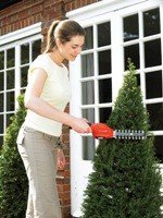 Black & Decker GSL300 elektrisk hkkeklipper Dobbeltklinge 600 g #13