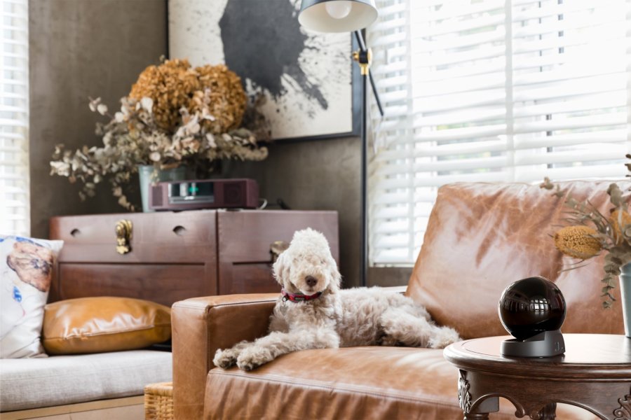 Imou Rex 3D 3K Sfrisk IP-sikkerhedskamera Indendrs 2688 x 1620 pixel Skrivebord #9