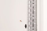 Digitus DN-19 16-U stativ 16U V�gmonteret stativ Gr� #3