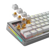 Glorious Gaming GLO-KB-ACC-SWT-PANDA-HE-36 tilbehr til tastatur Tastaturafbrydere #7