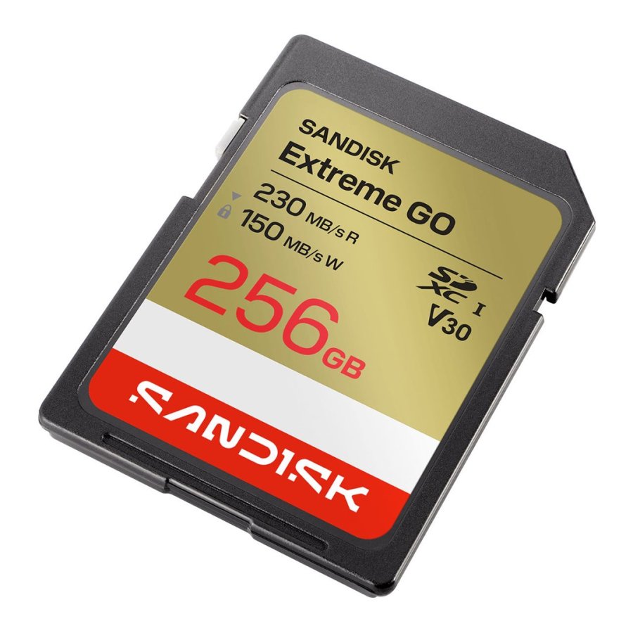 SanDisk Extreme GO 256 GB SDXC UHS-I #2