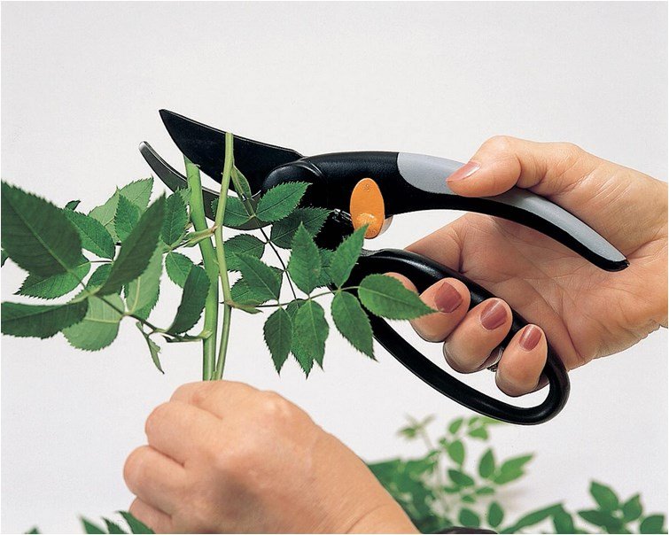 Fiskars 111440 beskringssaks Aflede Sort #3