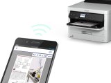 Epson T01D400 blkpatron 1 stk Original Ekstra (Super) hjt udbytte Gul #6