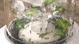 Philips 5000 series Eco Conscious Edition HR2500/00 Blender i 5000-serien #10