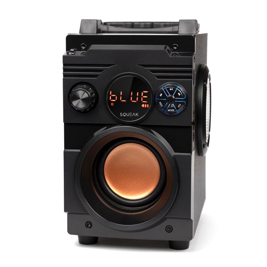 Brbare Bluetooth-hjttalere SQUEAK SQ1001 Sort 20 W #3