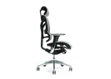 Ergonomisk kontorstol ERGO 700 gr #3
