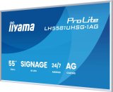 Monitor IIYAMA 55