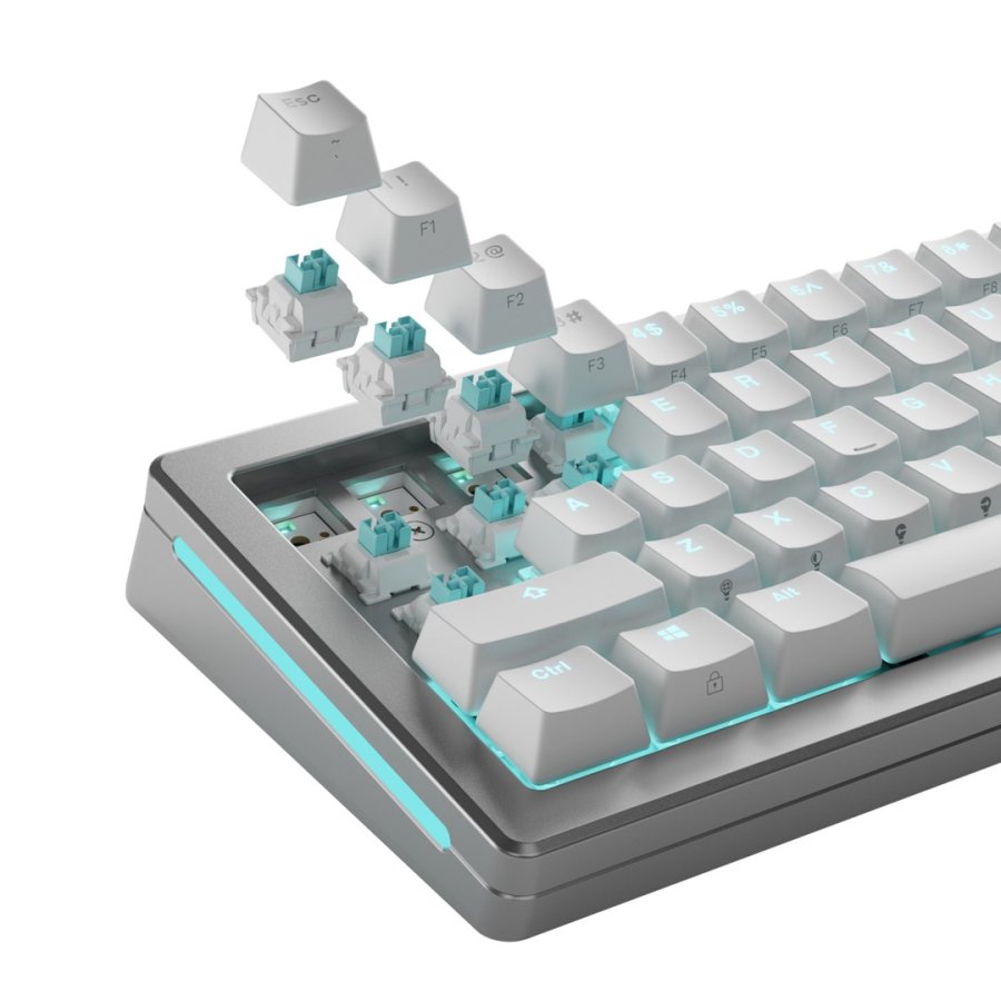 Glorious Gaming GLO-KB-ACC-SWT-LYNX-HE-36 tilbehr til tastatur Tastaturafbrydere #6