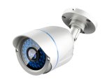 LevelOne ACS-5602 overv�gningskamera Kugle (form) CCTV sikkerhedskamera Udend�rs Loft/v�g #1