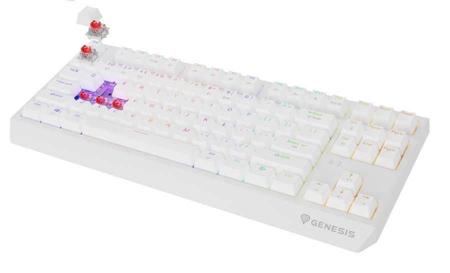 GENESIS Thor 230 TKL tastatur Spil USB + RF Wireless + Bluetooth QWERTY US engelsk Hvid #15
