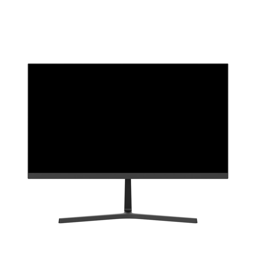 LCD Monitor 22