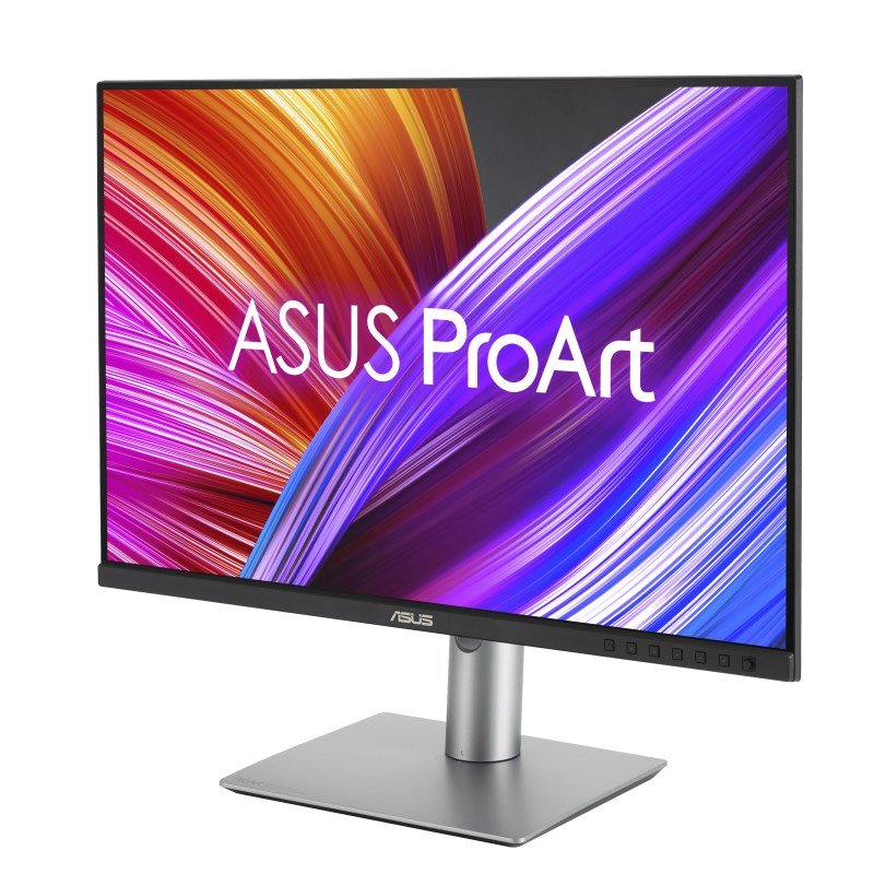 ASUS ProArt PA248CRV computerskrm 61,2 cm (24.1