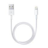Apple Lightning / USB 0,5 m Hvid #1
