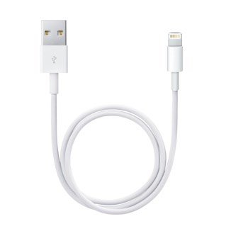 Apple Lightning / USB 0,5 m Hvid #1
